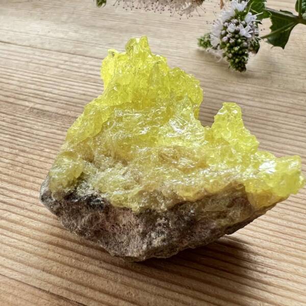 sulphur cluster