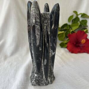 orthoceras part polished tower with several clear well preserved fossils