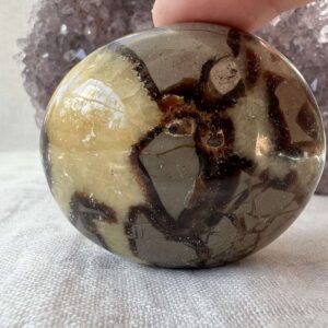 septarian tumblestone