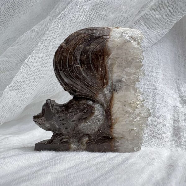 Quartz squirrel - Image 6