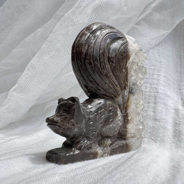 Quartz squirrel - Image 5