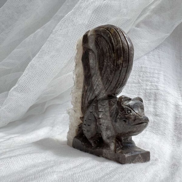 Quartz squirrel - Image 2