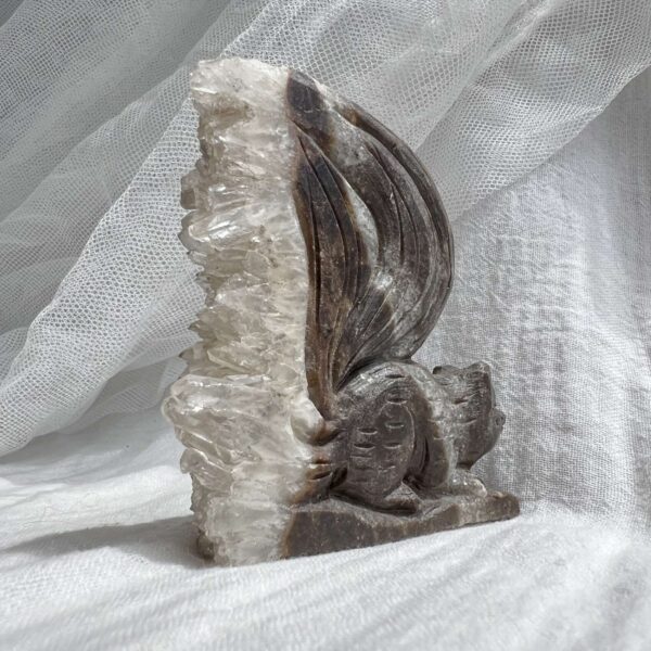 Quartz squirrel - Image 4