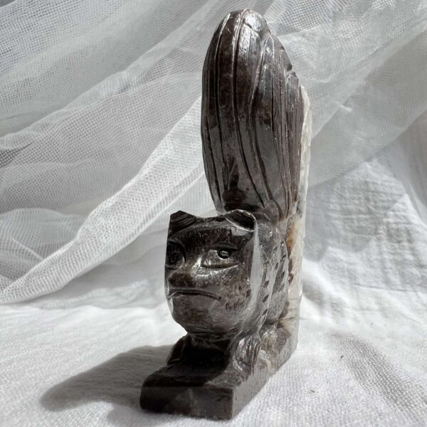 Quartz squirrel - Image 3