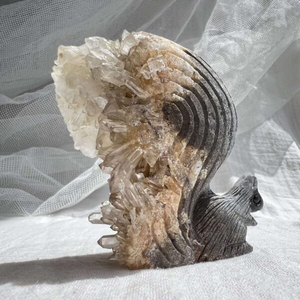 Quartz squirrel - Image 2