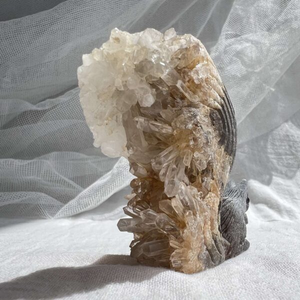 Quartz squirrel - Image 3