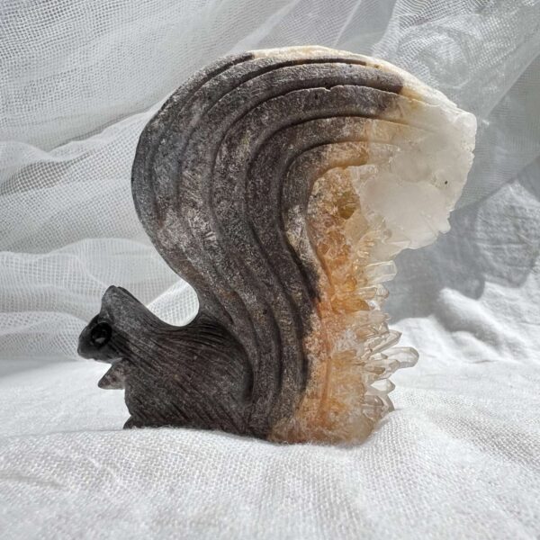 Quartz squirrel - Image 5