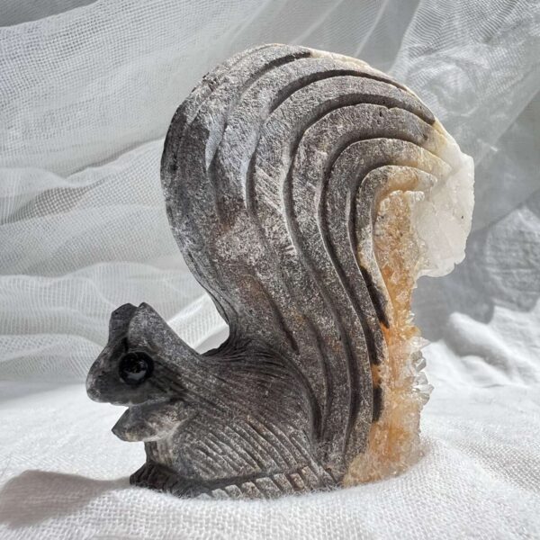 Quartz squirrel - Image 6