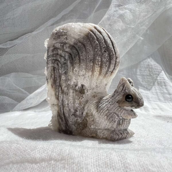 Quartz squirrel - Image 6