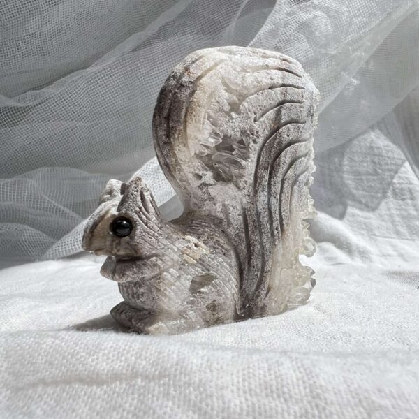 Quartz squirrel - Image 4
