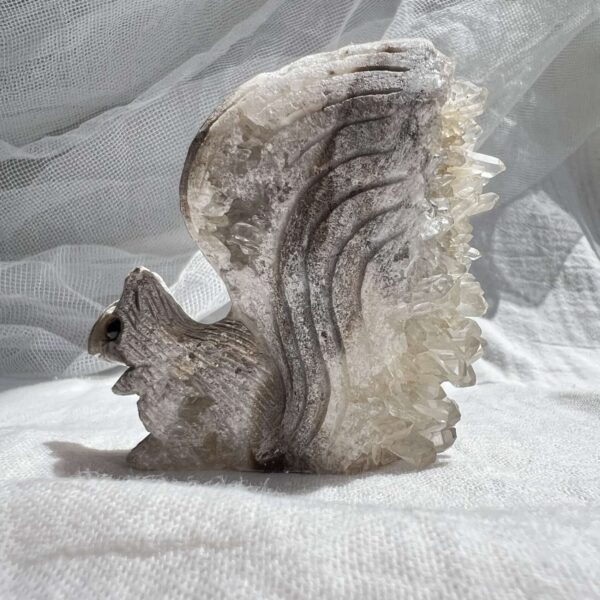 Quartz squirrel - Image 3