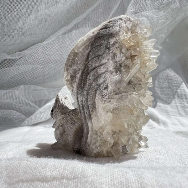 Quartz squirrel - Image 2