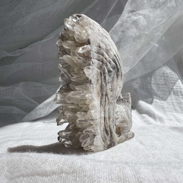 Quartz squirrel - Image 7
