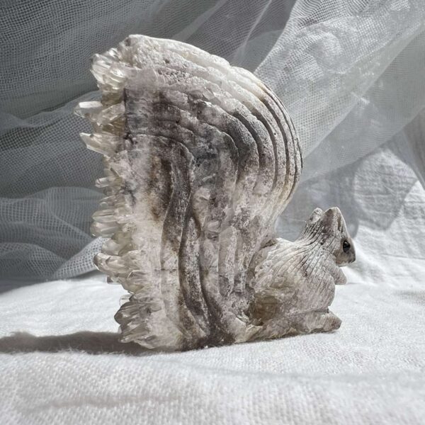 Quartz squirrel - Image 8