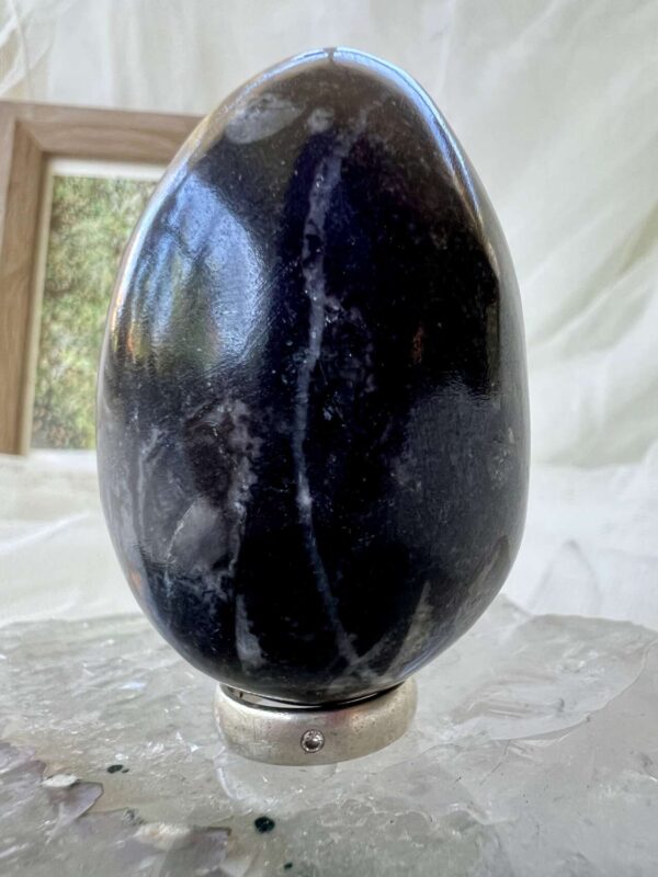 Orthoceras egg - Image 3