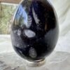 orthoceras fossil in granite cut and polished egg ancient cephalopod extinct sea creature