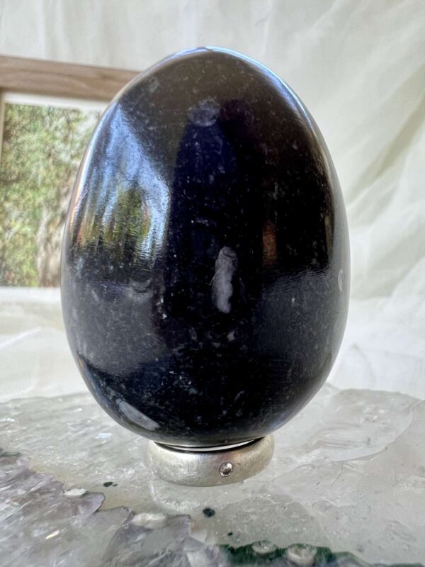 Orthoceras egg - Image 4