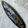 orthoceras fossil ancient cephalopod Jurassic, Triassic, Permian, Carboniferous (Mississippian/Pennsylvanian), Devonian, Silurian, Ordovician