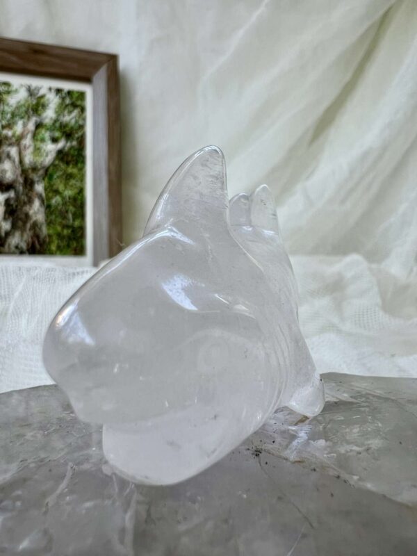 Quartz shark - Image 3