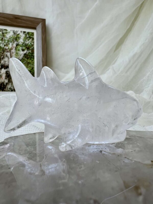 Quartz shark - Image 4