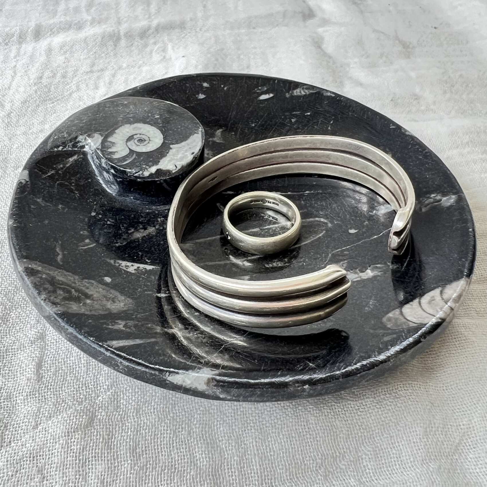 Orthoceras dish - Image 2