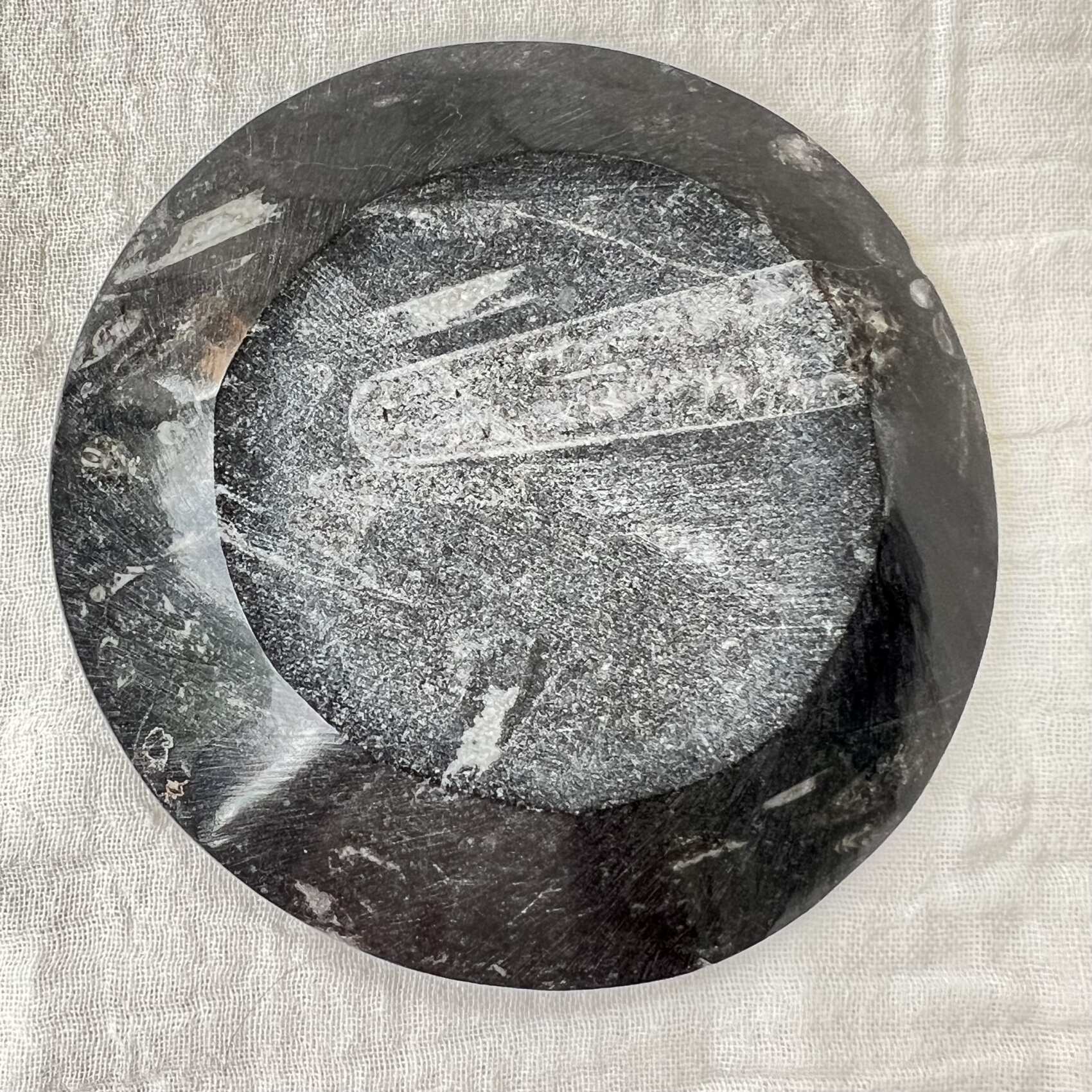 Orthoceras dish - Image 4