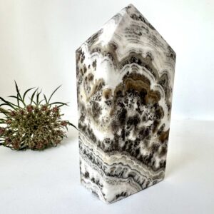 crazy lace agate crystal obelisk standing point home decor crystal healing NZ energy cleansing crystals chakra crystals NZ meditation stones spiritual gifts NZ Aotearoa