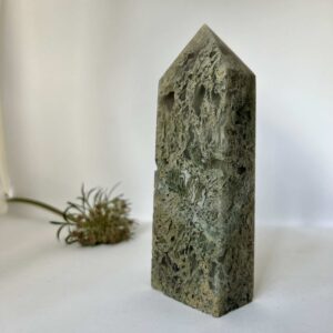moss agate crystal obelisk standing point home decor crystal healing NZ energy cleansing crystals chakra crystals NZ meditation stones spiritual gifts NZ Aotearoa